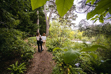 The Botanical Garden of the University of Bern